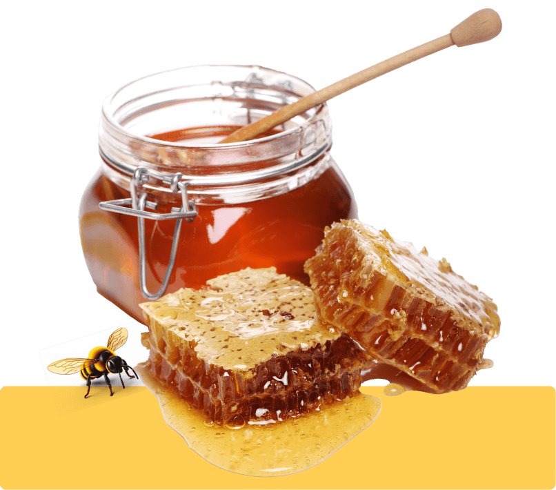 عسل طبیعی کنار (سدر) ارگانیک – ۱۰۰٪ خام