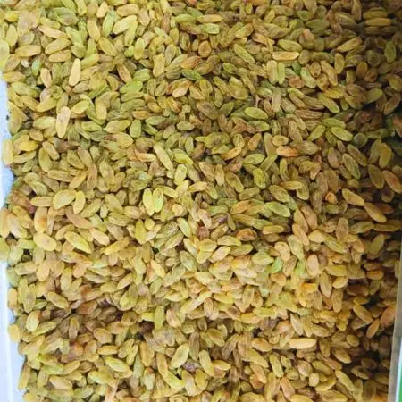 کشمش سبز قلمی نیم کیلویی - تصویر 3