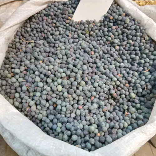 بنه کلخونک (پسته کوهی)